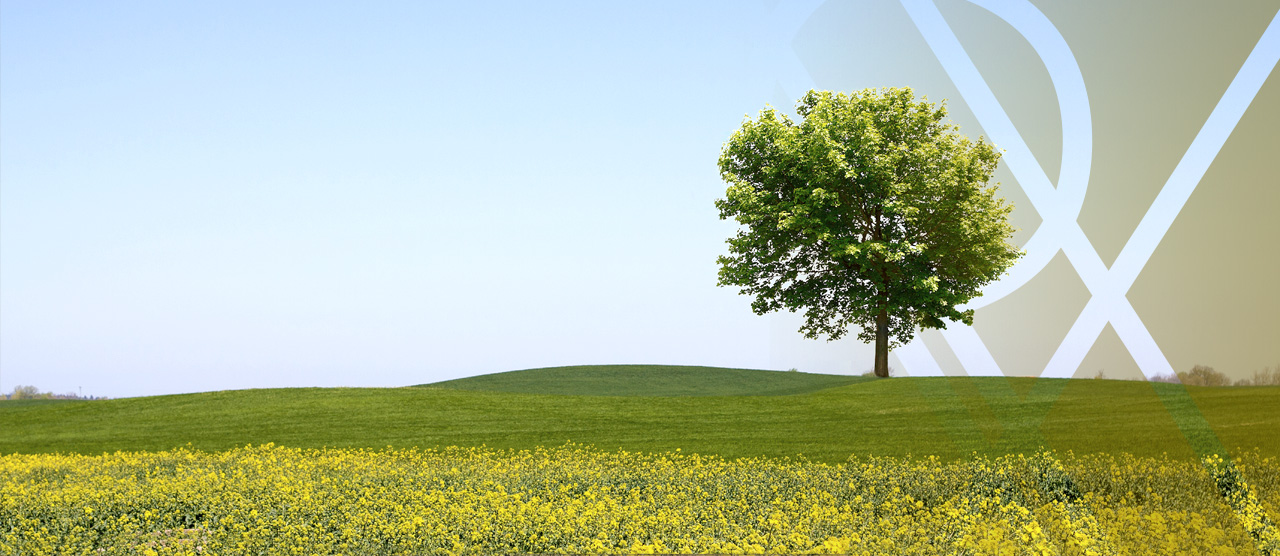 florox schont die Umwelt und Ihr Budget